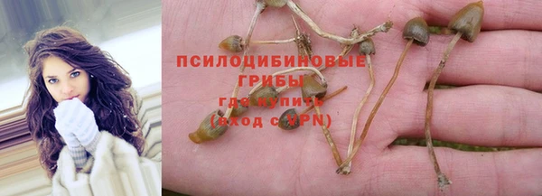 jwh Богородск