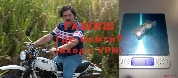 прущие грибы Бугульма