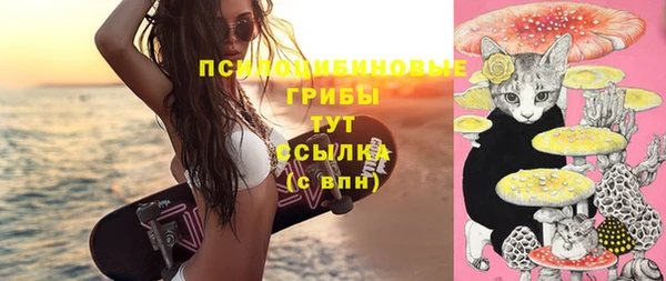spice Белокуриха