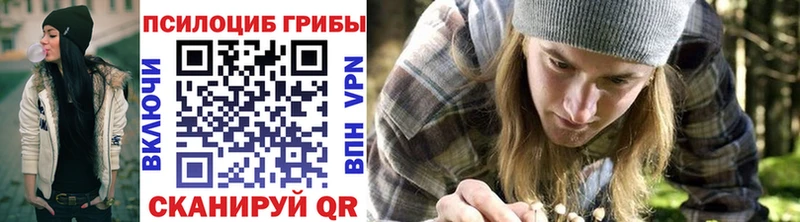 OMG онион  Гай  Галлюциногенные грибы Cubensis 