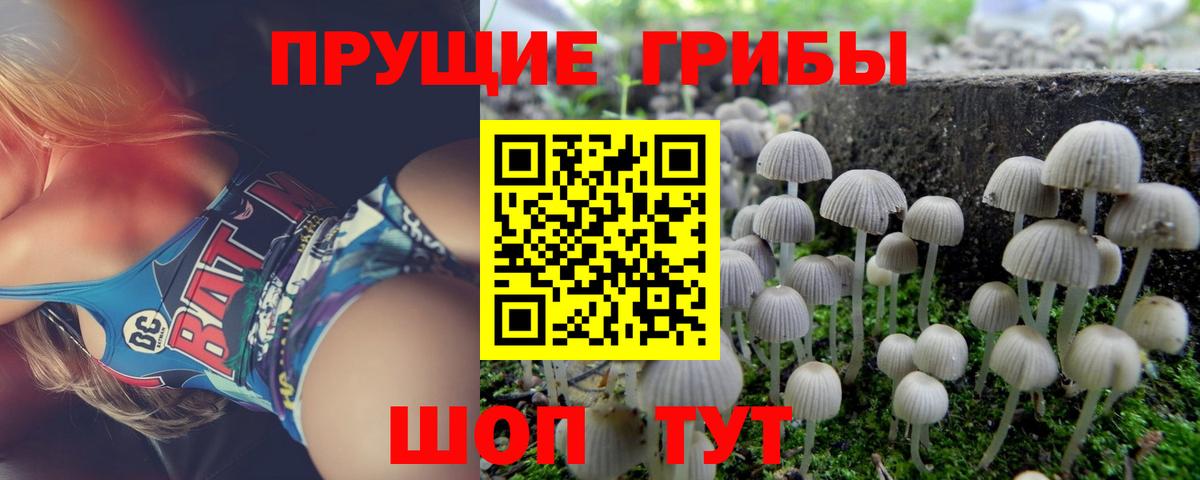 Псилоцибиновые грибы ЛСД  где найти   Гай  Вход с VPN  Псилоцибиновые грибы ЛСД 