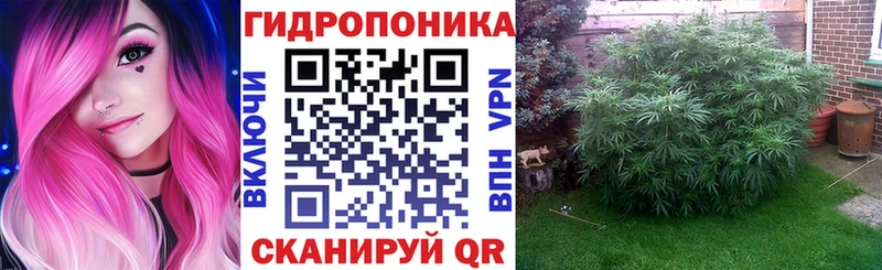 Марихуана LSD WEED где найти мега как войти Гай